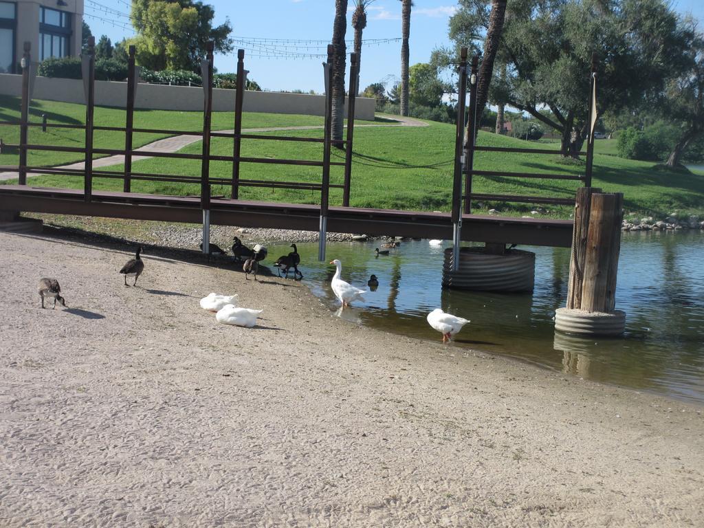 Mccormick Ranch Golf Villa Scottsdale Bagian luar foto